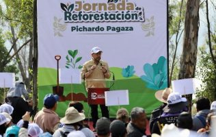 Reforesta Cuautitlán Izcalli el Lago de Guadalupe con 10 mil árboles