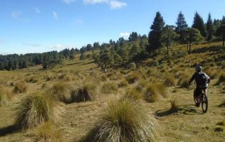 Rescatan PC y policías a mujer que se perdió en bosque de Naucalpan