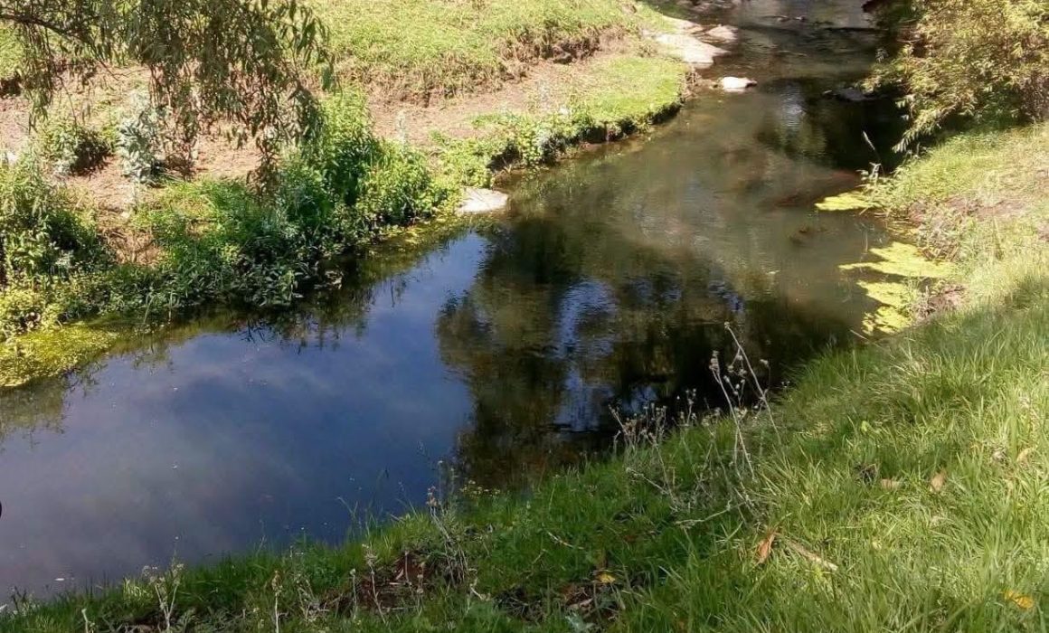 Salió a pasear con su familia y cayó a río; no aparece desde el domingo