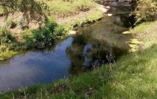 Salió a pasear con su familia y cayó a río; no aparece desde el domingo