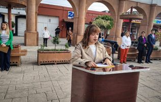 Se enfila Yessica Juárez a ocupar la curul de Anay Beltrán en San Lázaro