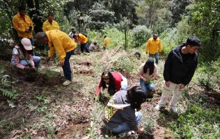 Suma Huixquilucan 150 oyameles y avanza hacia la meta de 30 mil árboles