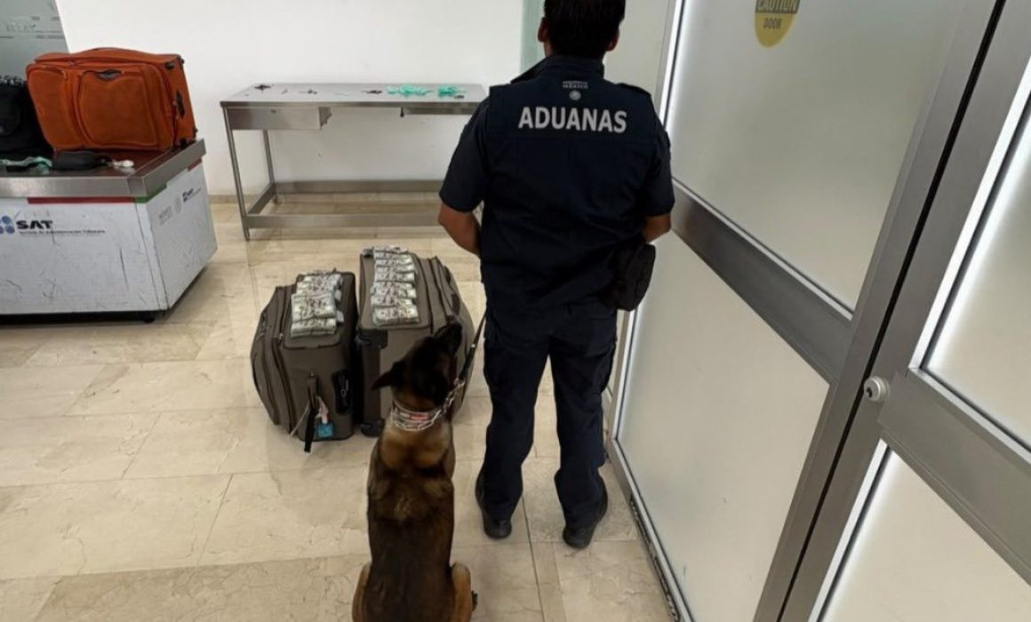 Aseguran 365 mil dólares a pasajero de Dallas en aeropuerto de Oaxaca