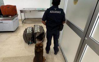 Aseguran 365 mil dólares a pasajero de Dallas en aeropuerto de Oaxaca