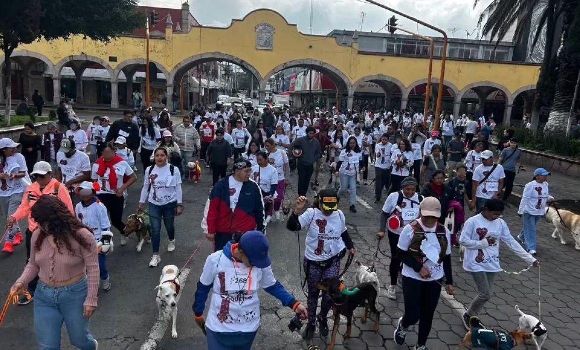 Así se vivió la Caminata por el Bienestar Animal en Tlalnepantla