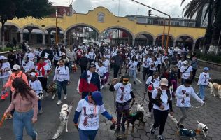 Así se vivió la Caminata por el Bienestar Animal en Tlalnepantla