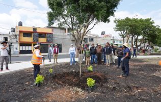 Acelera Ecatepec la rehabilitación integral de la avenida R1