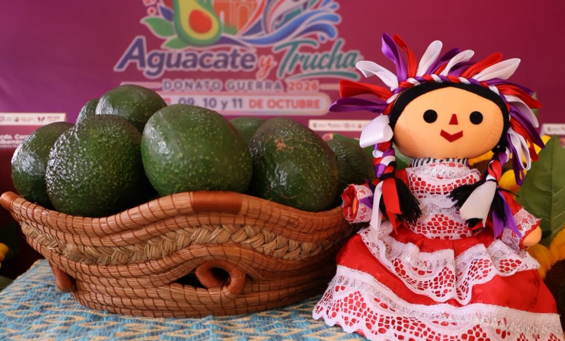 Busca el aguacate mexiquense abrirse paso hacia nuevos mercados