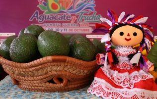 Busca el aguacate mexiquense abrirse paso hacia nuevos mercados