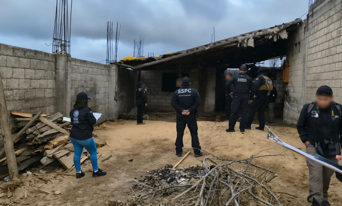 Clausura Profepa aserradero clandestino en Bosque de Agua de Edomex