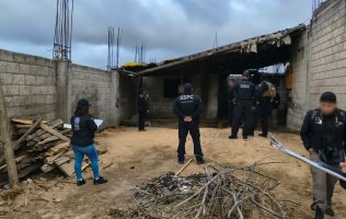 Clausura Profepa aserradero clandestino en Bosque de Agua de Edomex
