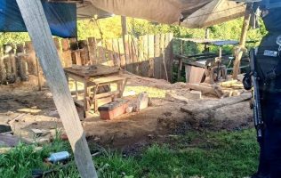 Clausuran 6 aserraderos clandestinos en Ocuilan durante operativo