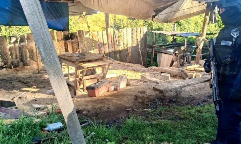Clausuran 6 aserraderos clandestinos en Ocuilan durante operativo 