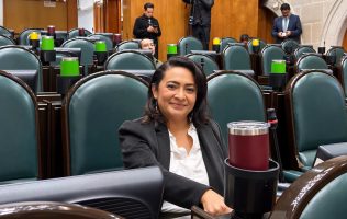 Encuentra Carmen de la Rosa en su gente de Neza la fuerza para seguir