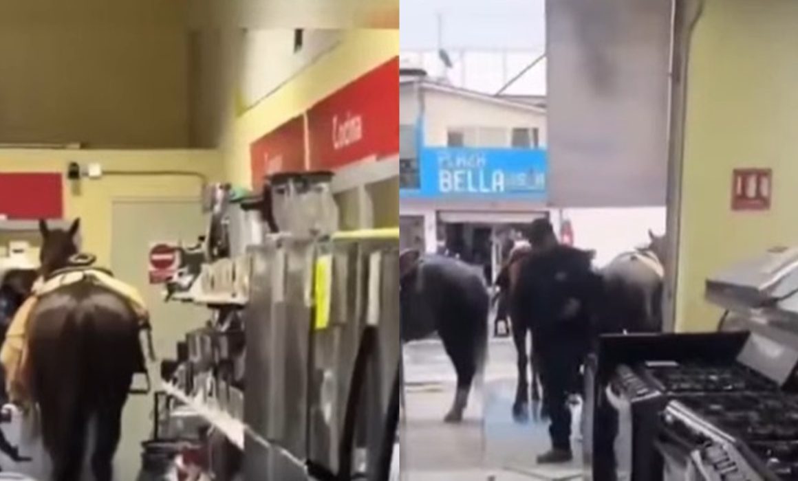 Entra caballo sin jinete a tienda de Apaxco y causa destrozos