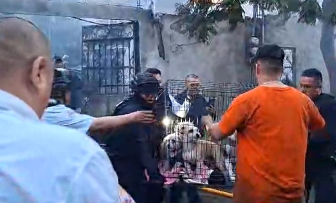 Evitan tragedia en Neza tras incendio en vivienda de El Sol