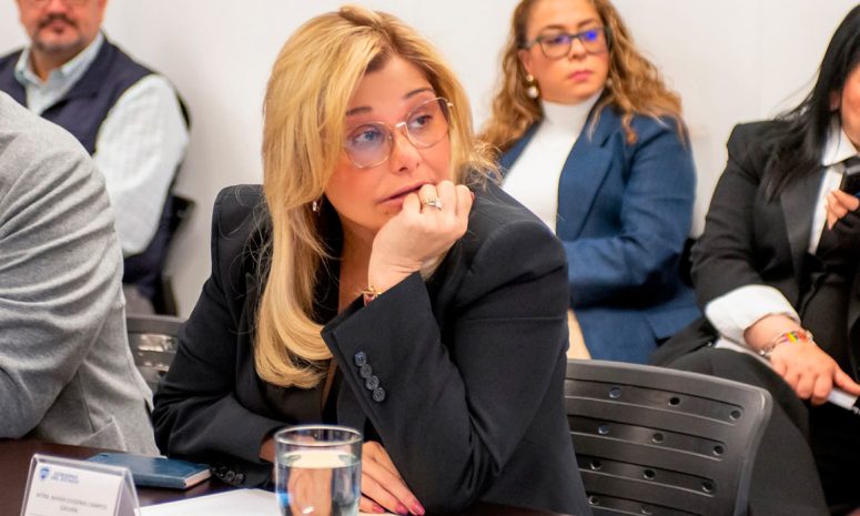 Inaceptable, que diferencia degenere en acusación temeraria: gobernadores