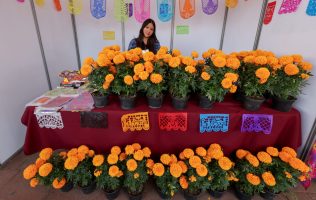 Inauguran Segunda Feria del Cempoalxóchitl en Chimalhuacán