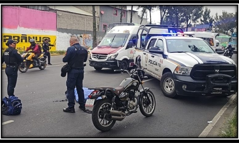 Muere motociclista tras chocar con transporte público, no traía casco
