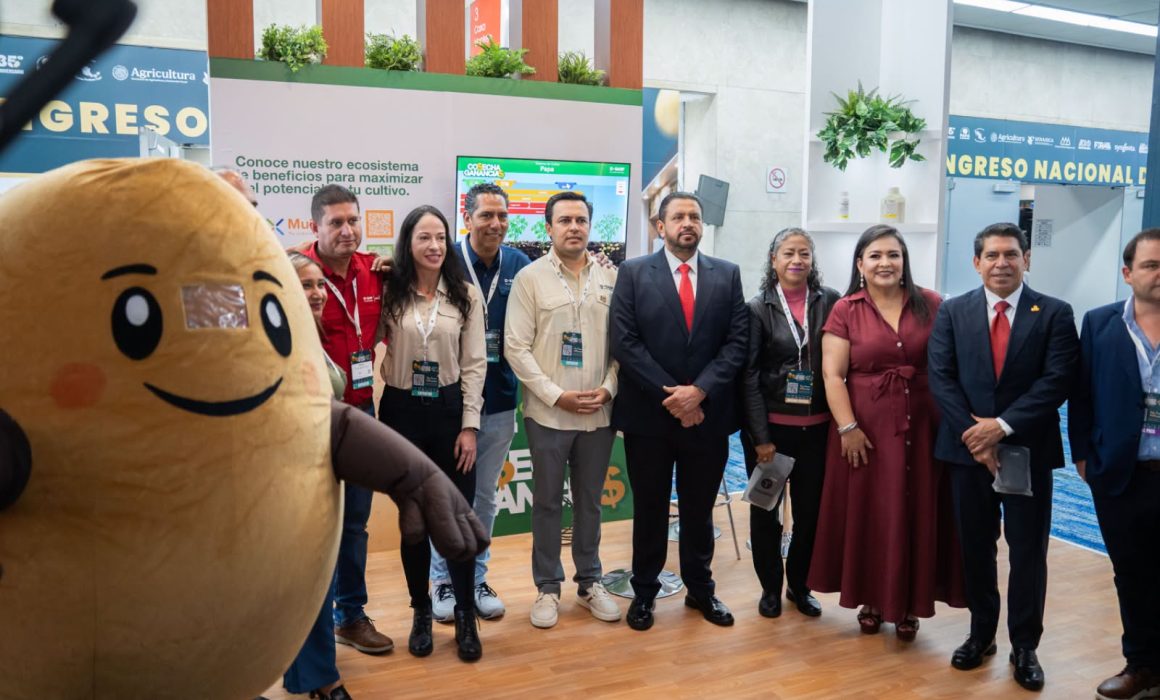 Ocupa Edomex el tercer lugar en producción de papa