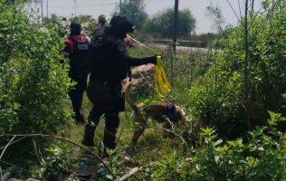 Participan perros policía de Chimalhuacán en búsqueda de desaparecidos