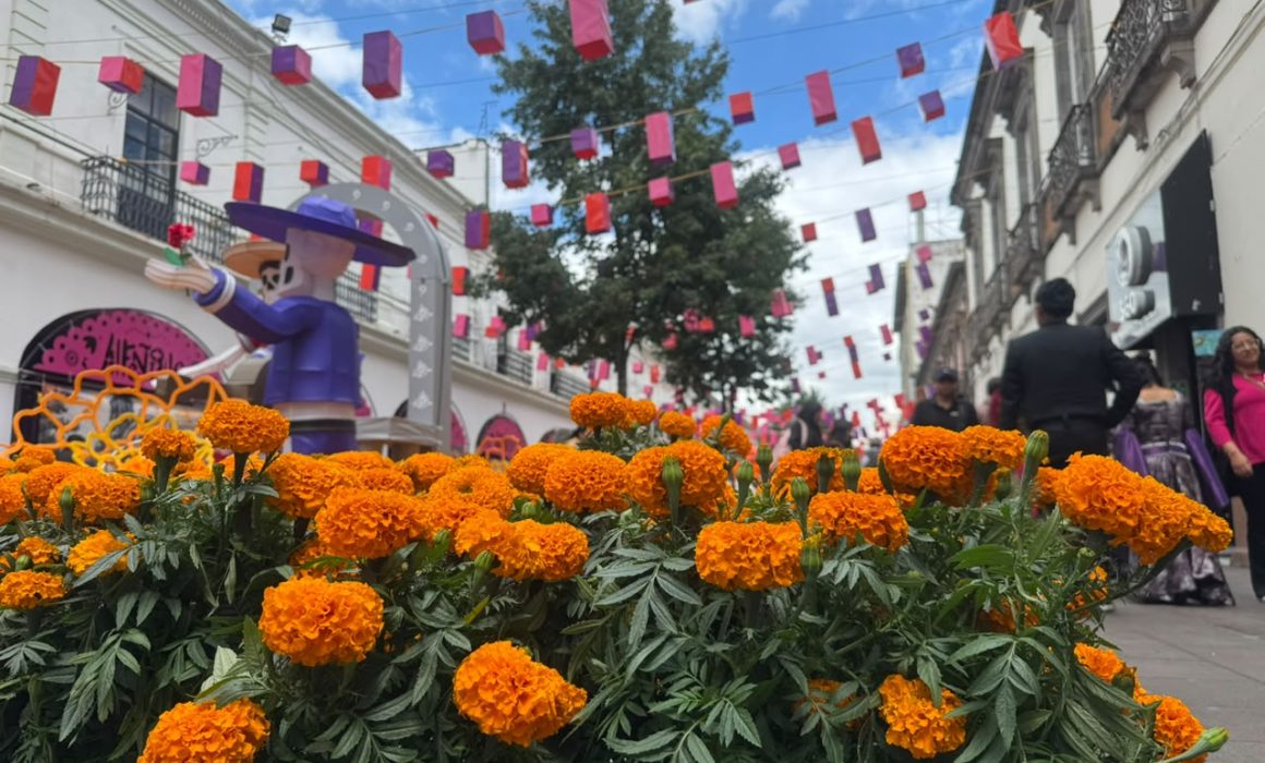 Persisten críticas por gasto del Alfeñique ante carencias en Toluca