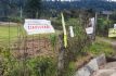 Pone Profepa fin al motocross en Valle de Bravo por daños ambientales