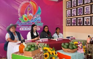 Prepara Donato Guerra 5ta feria del Aguacate y la Trucha