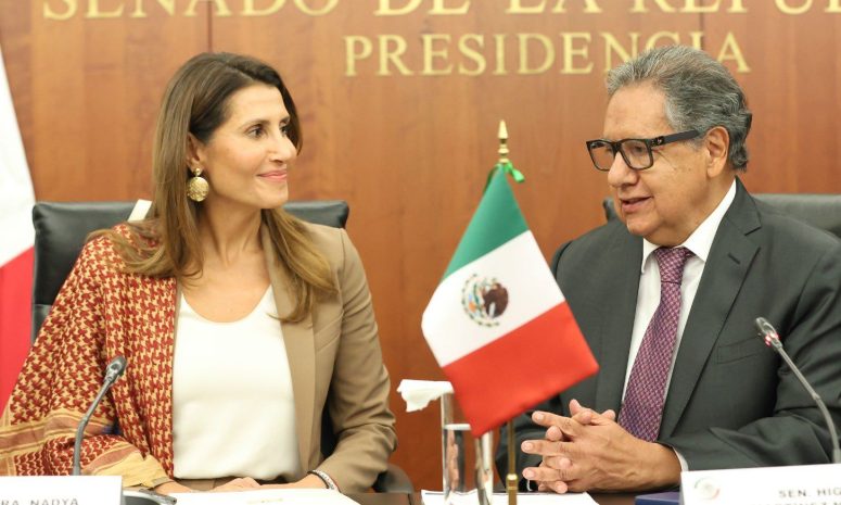 Refrenda Higinio Martínez solidaridad del Senado con Palestina