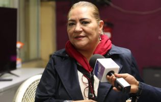 Renuncia Guadalupe Taddei al INE