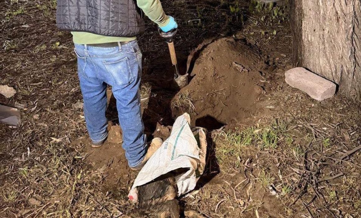 Retiran perro muerto que obstruía drenaje en Amecameca