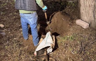 Retiran perro muerto que obstruía drenaje en Amecameca