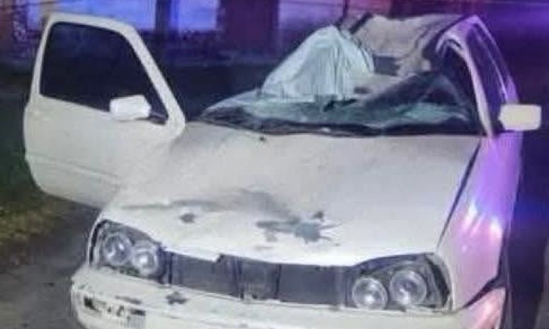 Muere conductora al caerle un caballo sobre su auto en Lerma